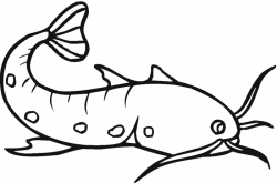Catfish Black Clipart