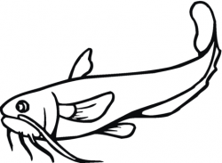 Catfish 21 coloring page | Free Printable Coloring Pages