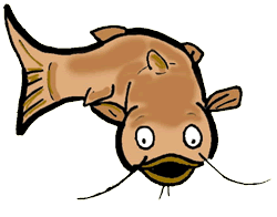 Free Cat Fish Cliparts, Download Free Clip Art, Free Clip ...