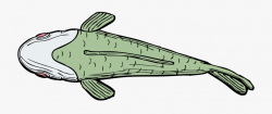Cartoon Catfish Pictures 8, Buy Clip Art - Fish Top View Png ...