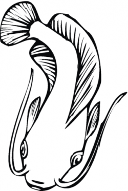 Catfish 15 coloring page | Free Printable Coloring Pages