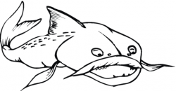 Catfish 17 coloring page | Free Printable Coloring Pages