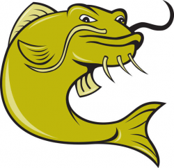Angry Cartoon Catfish-Fish-Gift Tag-Gift Card-Jewelry-T-Shirt ...