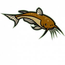 Image of Catfish Clipart #6001, Best Catfish Clip Art - Clipartoons
