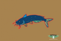 Free Catfish Clipart and Vector Graphics - Clipart.me
