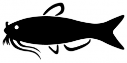Image of Catfish Clipart #5999, Best Catfish Clip Art - Clipartoons