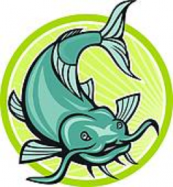 Catfish Clip Art - Royalty Free - GoGraph