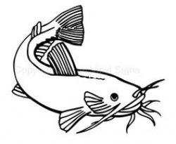 Catfish Line Drawing at GetDrawings.com | Free for personal use ...