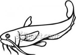 Common Catfish Outline - Royalty Free Clipart Picture