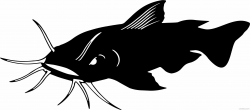 Catfish Animal free black white clipart images clipartblack ...