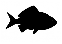 Jumping Trout Silhouette at GetDrawings.com | Free for personal use ...