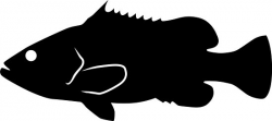 Silhouette Of A Fish at GetDrawings.com | Free for personal use ...