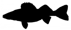 walleye silhouette prints | Fish Silhouette 2 | baby boy room ...