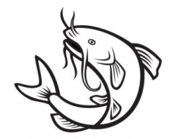 Catfish Drawing | Free download best Catfish Drawing on ...