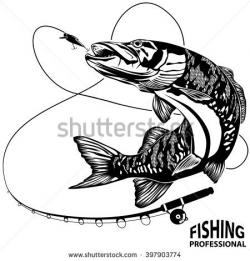 Drawn fishing catfish - Pencil and in color drawn fishing catfish
