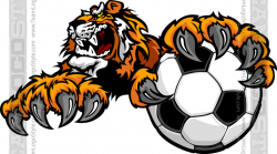 Tiger Soccer Clipart - Vector Clipart Tigers