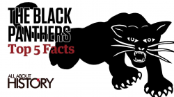 The Black Panthers | Top 5 Facts - YouTube