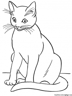 Realistic Coloring Pages Of Cats | Realistic Coloring Pages | Touch ...
