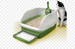Cats Cartoon clipart - Cat, Kitten, Product, transparent ...