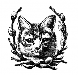 Vintage cat clip art dromgfd top clipartcow - Clipartix