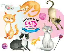 Watercolor Cats (and accessories!) Clipart Set This listing is for ...