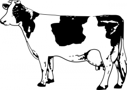 Cow clip art Free vector in Open office drawing svg ( .svg ...