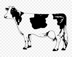 Angus cattle Calf Clip art - Sketch Cow png download - 1000*800 ...
