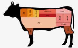 The Japanese Version Of The Name Of Cow Parts, Cattle, Japanese ...