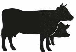 Show Cow Silhouette at GetDrawings.com | Free for personal use Show ...