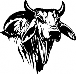 Image result for black and white brahman bull drawn | plasma cut ...