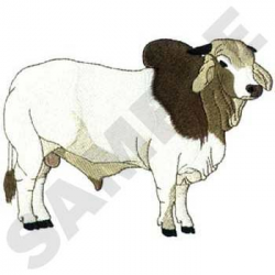 Brahman Bull Embroidery Designs, Machine Embroidery Designs at ...