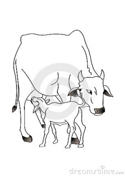 indian cow with calf clipart 3 | Clipart Station