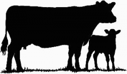 show heifer clip art | Cow Silhouette 1 Decal Sticker | cows ...