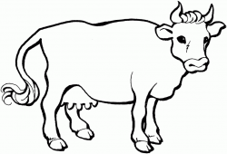 Beef Cattle Drawing at GetDrawings.com | Free for personal use Beef ...