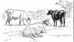 clipart cow | Cows | ClipArt ETC | Projects | Pinterest | Cow