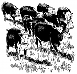 Beef clipart - PinArt | Cartoon hungry beef steak mascot, cow ...