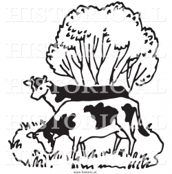 Illustration of a Couple of Cows Grazing Beside a Tree - Black and ...