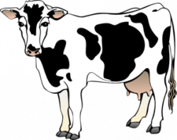 Standing Cow Clip Art at Clker.com - vector clip art online, royalty ...