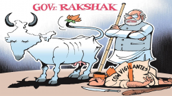 Modi government bans sale of cows, other Cattle for slaughter in ...