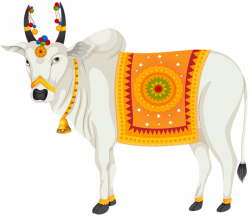 India Holy Cow Transparent Clip Art Image | Gallery Yopriceville ...