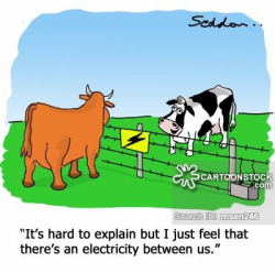 Electric Fence Cartoons and Comics - funny pictures from CartoonStock