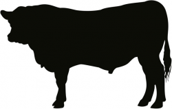 Heifer Silhouette at GetDrawings.com | Free for personal use Heifer ...