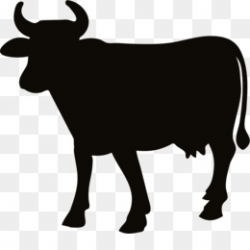 Hereford Cattle PNG and PSD Free Download - Hereford cattle Angus ...
