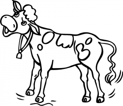 Cow Drawing For Kid at GetDrawings.com | Free for personal use Cow ...
