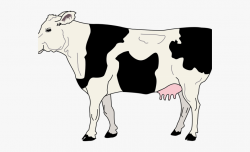 Farm Animals Clipart Cattle Farm - Side Of A Cow #292995 ...