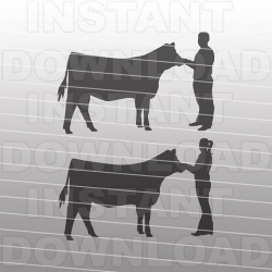 Show Heifer SVG,Livestock SVG,Cow SVG File,Cattle svg-Cut File ...