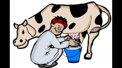 Milking the Cow - Fresh Milk - Sri Lanka Farm - Organic Farming ...