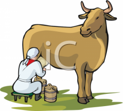 Clipart Picture Of A Woman Milking a Cow - AnimalClipart.net