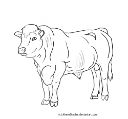 Hereford Bull Line art by AhernStables on DeviantArt