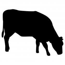 Cow Silhouette Free Stock Photo - Public Domain Pictures | beef ...